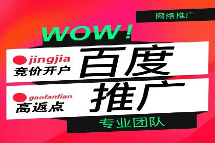 竞价端口开户成功助力企业增长